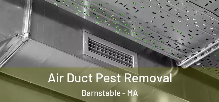  Air Duct Pest Removal Barnstable - MA