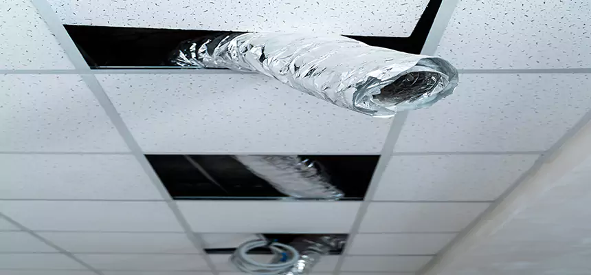 Affordable HVAC Sanitizing After Pest Removal in Barnstable