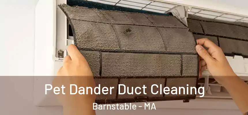  Pet Dander Duct Cleaning Barnstable - MA