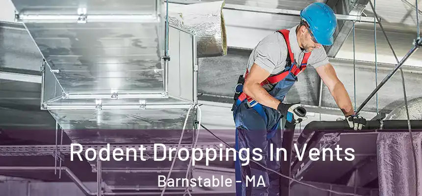  Rodent Droppings In Vents Barnstable - MA