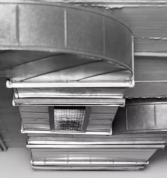 Professional Air Duct Pest Removal in Barnstable, MA