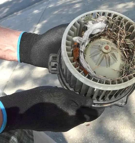 About Air Duct Rat Removal in Barnstable, MA