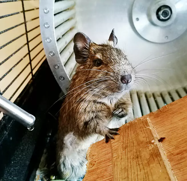 Why Homeowners & Businesses Trust Us Barnstable, MA